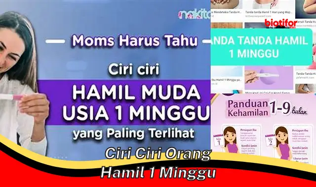 Ciri-ciri Orang Hamil 1 Minggu: Tanda Awal Kehamilan yang Penting Diketahui