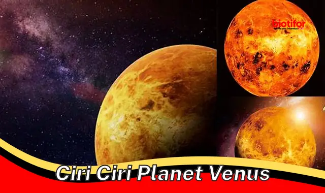 Fitur Unik Venus: Planet yang Mirip Bumi