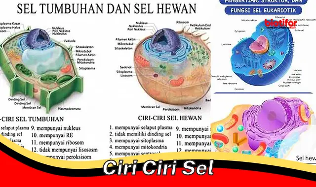 Jelajahi Fitur Penting Sel: Memahami Ciri-Ciri Sel