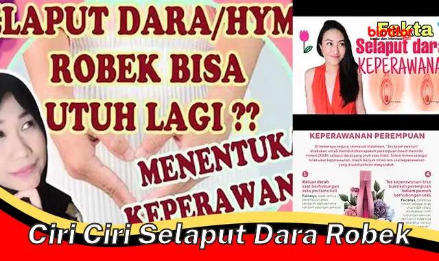 ciri ciri selaput dara robek