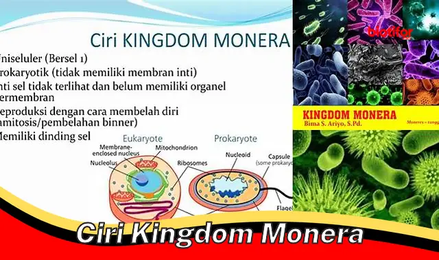 Ciri-Ciri Unik Kingdom Monera: Rahasia Dunia Mikroba