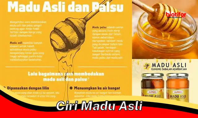 ciri madu asli