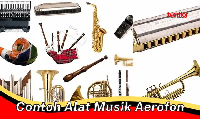 Kenali Aneka Contoh Alat Musik Aerofon untuk Ekspresi Musikal Anda