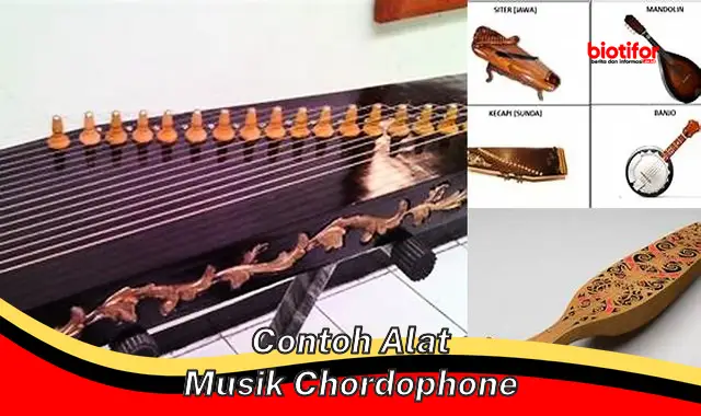 Contoh Alat Musik Chordophone: Panduan Lengkap untuk Pemula