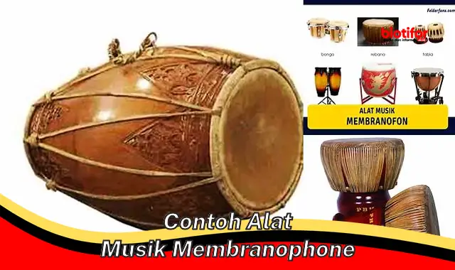 Kenali Berbagai Contoh Alat Musik Membranofon, Alat Musik Berirama Khas