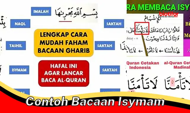 Raih Pemahaman Islam yang Mendalam dengan Contoh Bacaan Isymam Terbaik