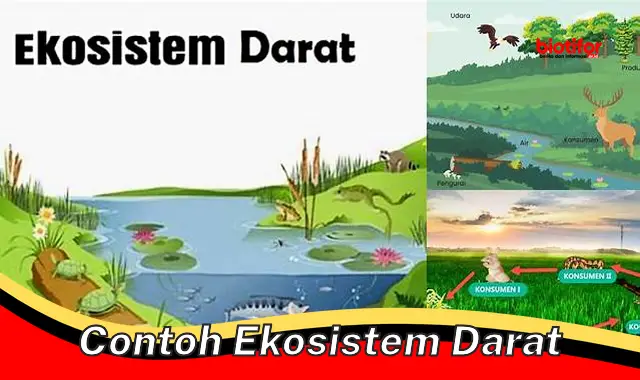 Contoh Ekosistem Darat: Keanekaragaman dan Pentingnya