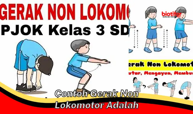 Panduan Lengkap Contoh Gerak Non Lokomotor: Manfaat dan Cara Meningkatkannya