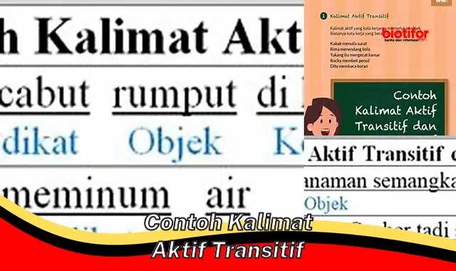 Rahasia Kalimat Aktif Transitif: Panduan Jitu untuk Tulisan Efektif