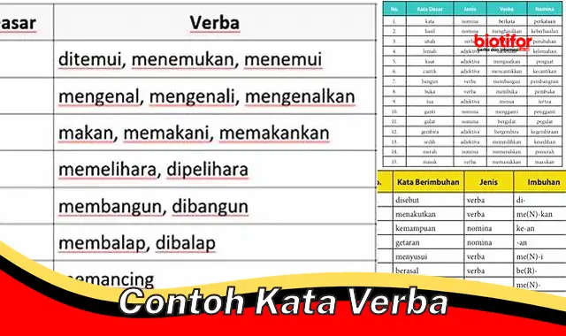 contoh kata verba