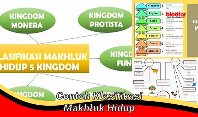 Panduan Klasifikasi Makhluk Hidup: Memahami Keanekaragaman Hayati