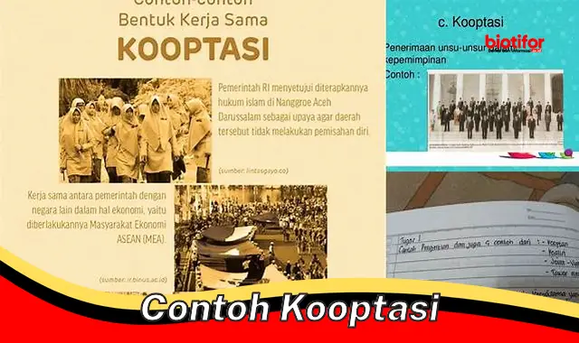 Pengertian dan Manfaat Contoh Kooptasi dalam Berbagai Bidang