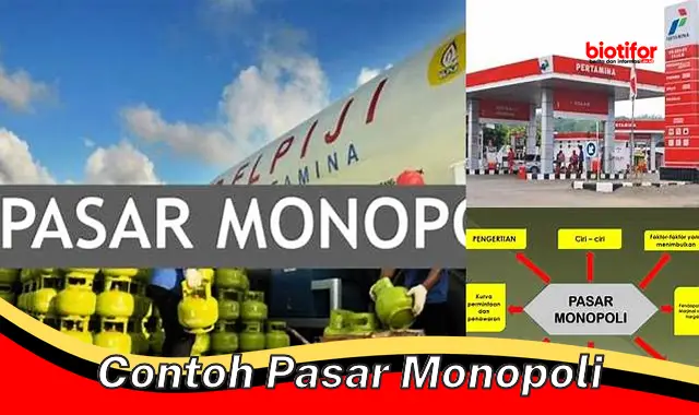 Pahami Contoh Pasar Monopoli: Ciri, Dampak, dan Pengaturannya