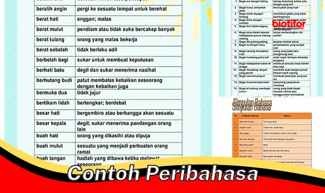 Ragam Contoh Peribahasa Indonesia untuk Komunikasi Efektif