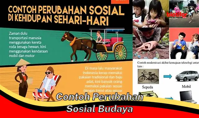 Selami Contoh Perubahan Sosial Budaya yang Berdampak pada Masyarakat Kita