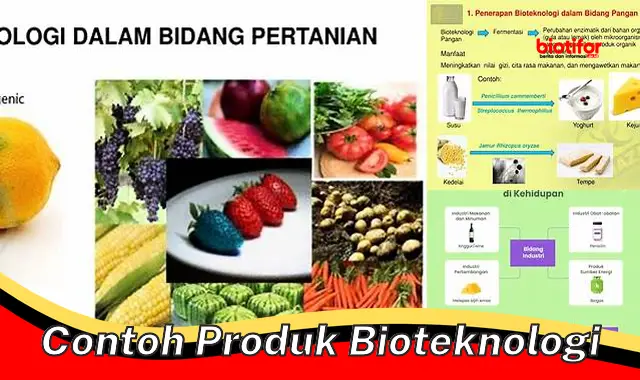 Inovasi Produk Bioteknologi: Contoh Terbaik untuk Masa Depan