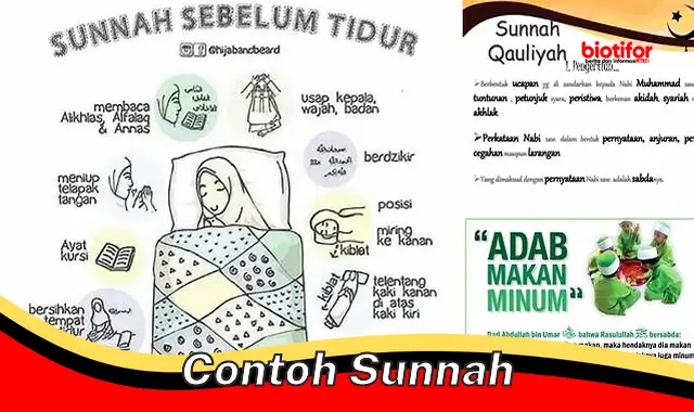 Panduan Sunnah: Pedoman Hidup Sempurna Umat Islam