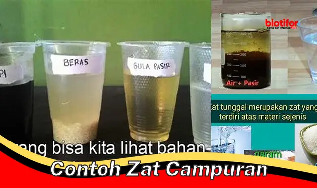 Jenis-jenis dan Contoh Zat Campuran Lengkap