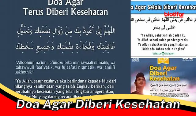 Dapatkan Kesehatan Sempurna: Panduan Doa untuk Penyembuhan