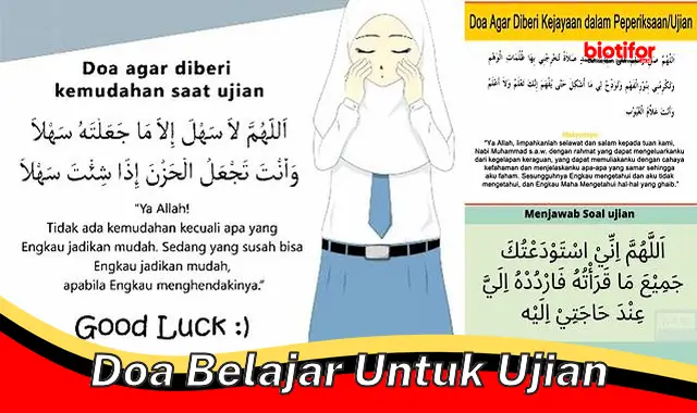 Rahasia Mendongkrak Nilai Ujian dengan Doa Belajar Terbaik