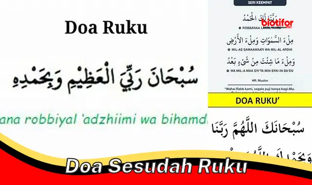 Panduan Lengkap Doa Sesudah Ruku: Makna, Manfaat, dan Tata Cara