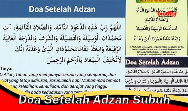 Rahasia di Balik Doa Setelah Adzan Subuh: Kunci Perlindungan dan Berkah dari Pagi hingga Malam