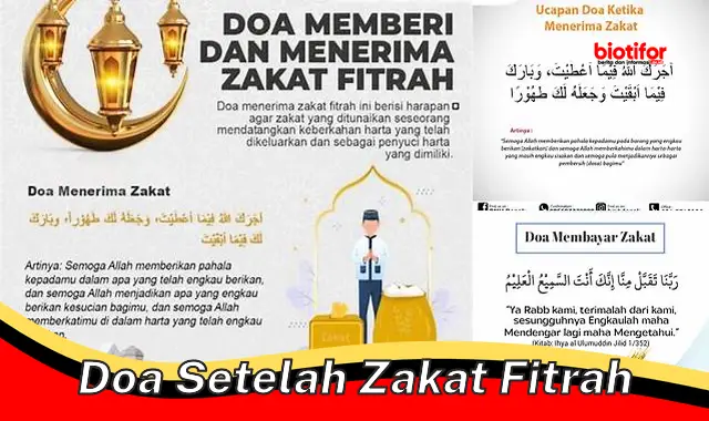 Cara Berdoa yang Benar Setelah Bayar Zakat Fitrah