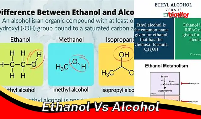 Mengenal Etanol vs Alkohol: Perbedaan dan Kegunaannya