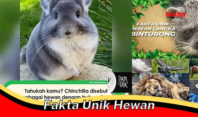 Fakta Unik Hewan: Jelajahi Keajaiban Dunia Satwa Liar