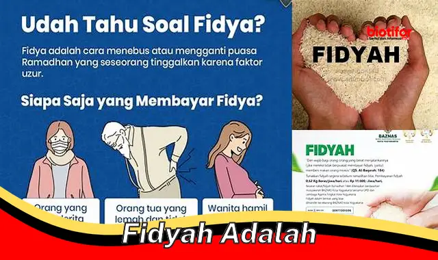 Wajib Diketahui! Ini Hukum dan Cara Membayar Fidyah