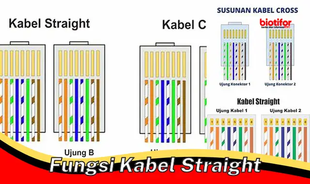 Ketahui Fungsi Penting Kabel Straight untuk Koneksi Jaringan Terbaik