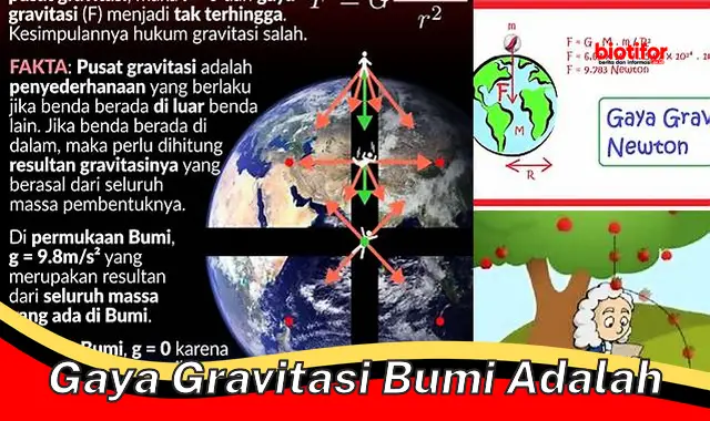 Mengenal Gaya Gravitasi Bumi: Kekuatan Penting di Balik Kehidupan