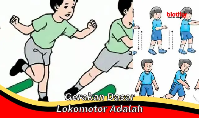 gerakan dasar lokomotor adalah