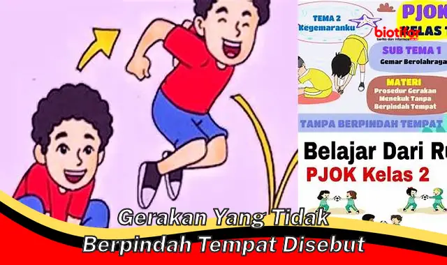 Panduan Lengkap Gerakan Oscilasi: Memahami Gerak yang Tidak Berpindah Tempat Disebut