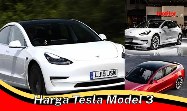 Cari Harga Tesla Model 3 Terbaik di Sini!