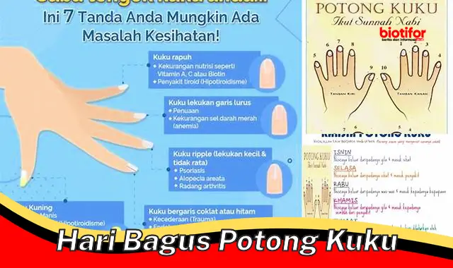 hari bagus potong kuku