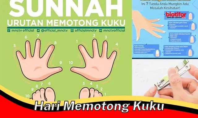 Panduan Lengkap Hari Memotong Kuku: Tradisi, Manfaat, dan Tips Merawat ...