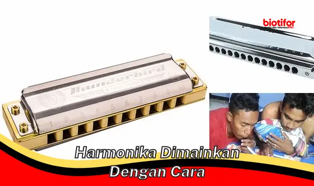 Penguasaan Harmonika: Teknik dan Rahasia Memainkannya dengan Benar