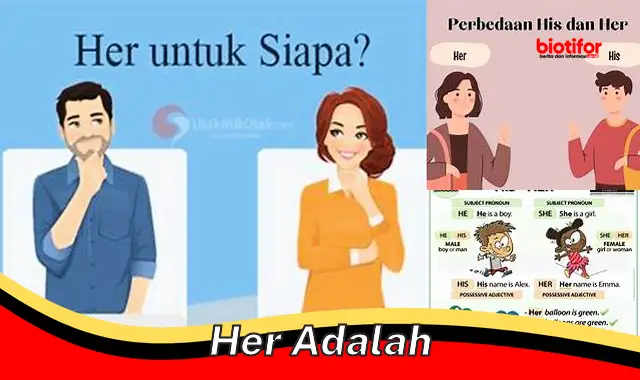 Pahami "Her Adalah": Panduan Lengkap untuk Jenis Kelamin dalam Bahasa Indonesia