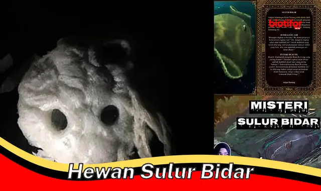 Keunikan Hewan Sulur Bidar: Menjelajahi Kemampuan dan Peran Mereka