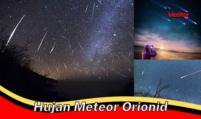 Hujan Meteor Orionid: Saksikan Pesona Langit Malam