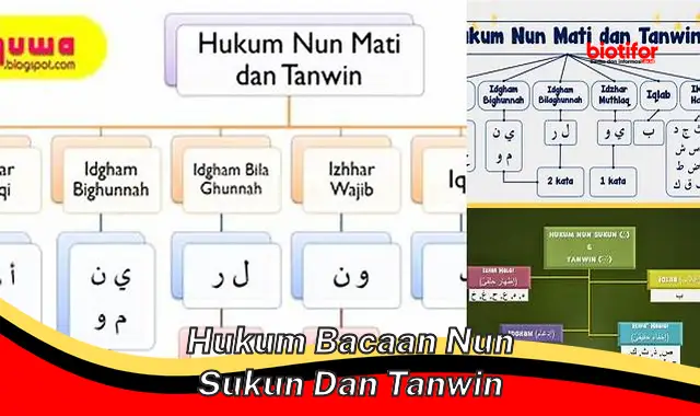 Pelajari Hukum Bacaan Nun Sukun dan Tanwin dengan Mudah dan Efektif