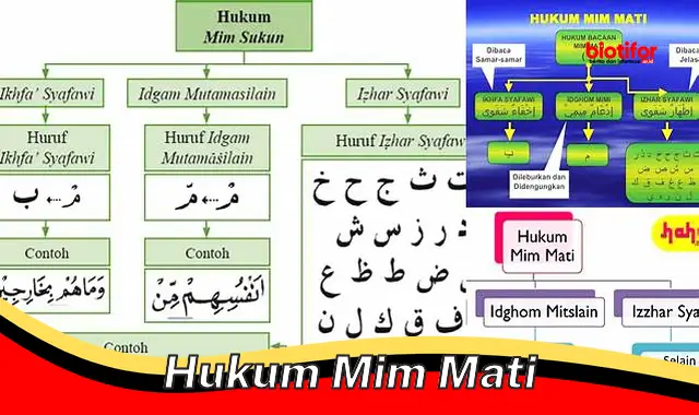 Panduan Lengkap Hukum Mim Mati: Kunci Pengucapan Bahasa Arab yang Sempurna