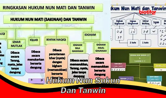 Rahasia Hukum Nun Sukun dan Tanwin untuk Bahasa Arab Sempurna - Biotifor