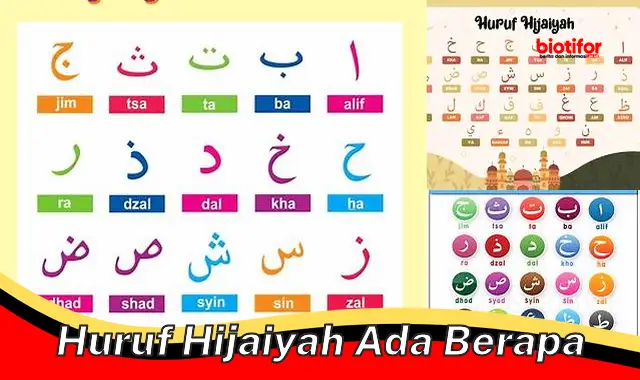 Panduan Lengkap Mengenal Huruf Hijaiyah, Jumlah dan Pentingnya