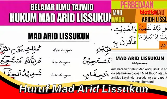 Rahasia Pengucapan Huruf Mad Arid Lissukun yang Indah dan Berpahala