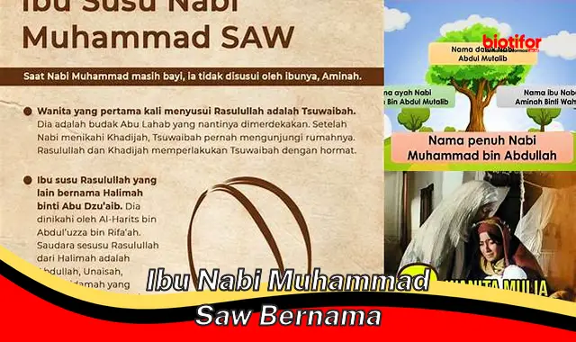 Terungkap! Inilah Sosok Ibu Nabi Muhammad SAW