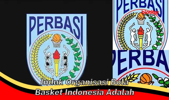 Mengenal Induk Organisasi Bola Basket Resmi di Indonesia