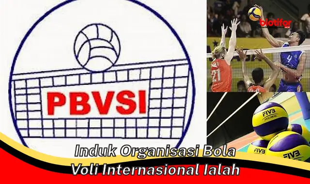 Mengenal Induk Organisasi Bola Voli Internasional: Peran Penting FIVB