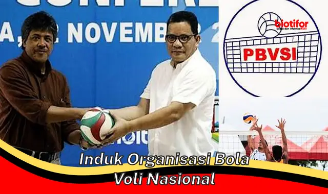 Peran Penting Induk Organisasi Bola Voli Nasional dalam Memajukan Olahraga Bola Voli